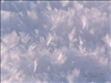 SWZ_031 (1)